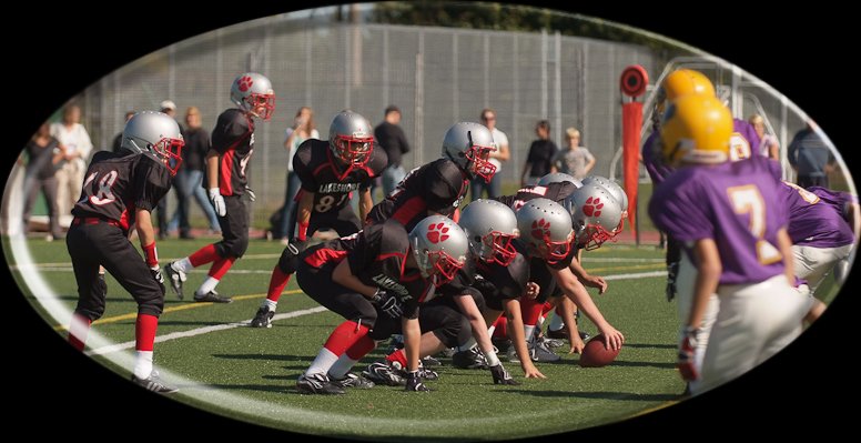 2010 Lakeshore Panthers photos